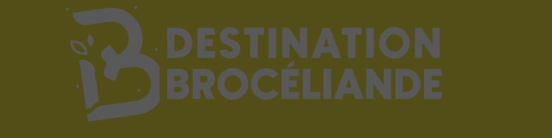 Bestemmingbroceliandejaecontrast