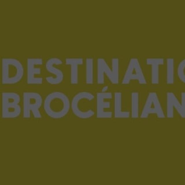 Destinationbroceliandejaunecontraste