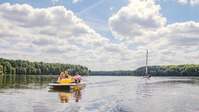 Attività - Montfort Communauté Tourisme -Destinazione Brocéliande