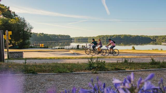 Radfahren / Mountainbike - Lac de Trémelin - Pays Pourpré - Destination Brocéliande