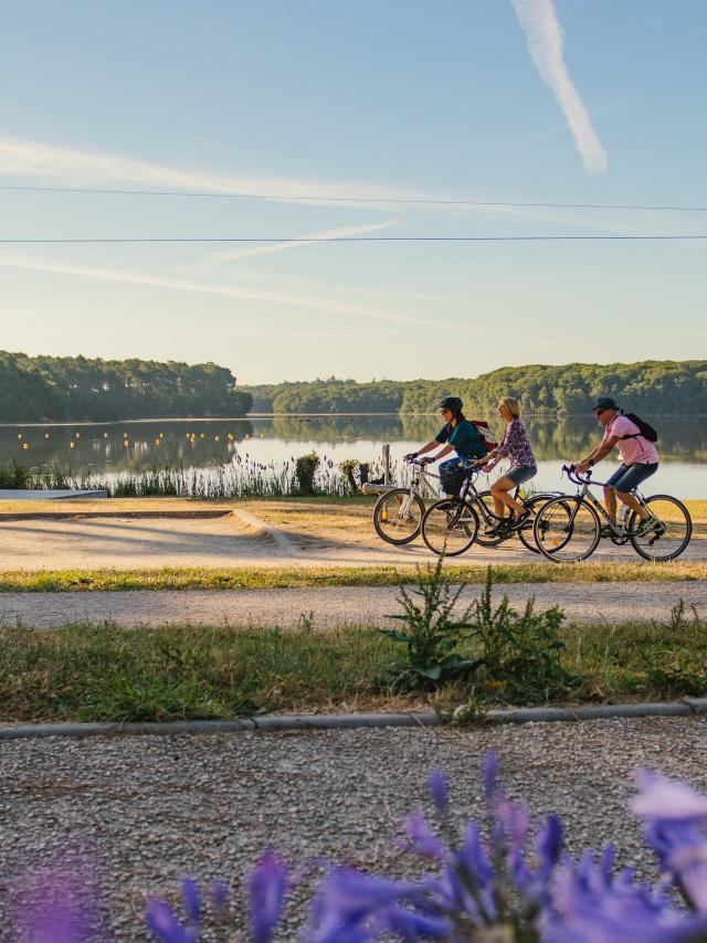 Ciclismo / Mountain bike - Lac de Trémelin - Paese viola - Destinazione Brocéliande