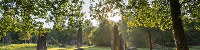 Visites-guer-malestroit-la-gacilly.jpg
