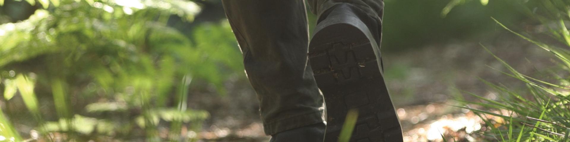 Rando Malestroit Guer La Gacilly