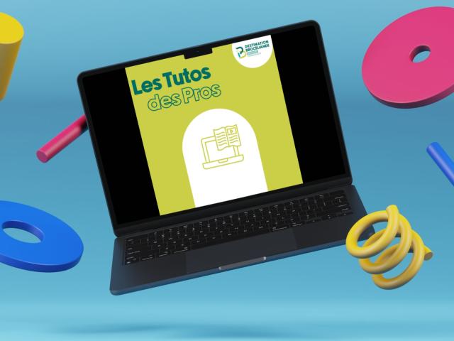Les Tutos Des Pros - Ot Montfort communauté - Destination Brocéliande