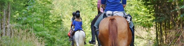 Horse Riding Credit Pixabay Royalty Free Images 5