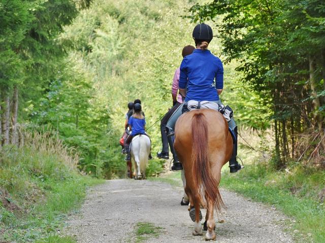 Horse Riding Credit Pixabay Royalty Free Images 5