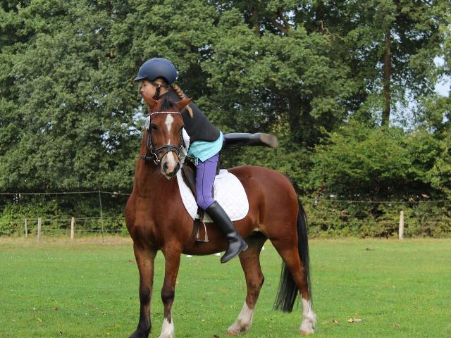 Horseback riding Credit Images Libres De Droit Pixabay 7