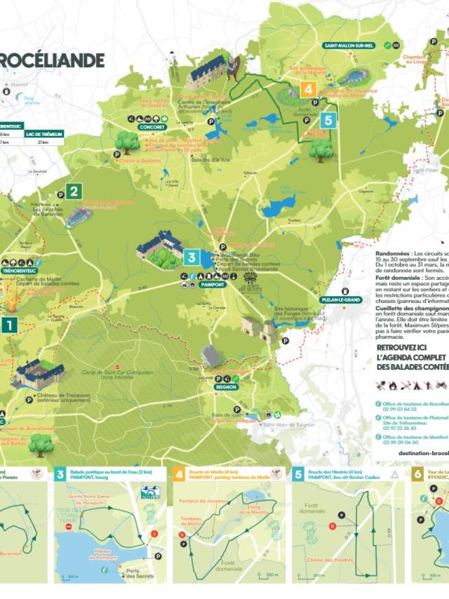 Carte Foret Automne Hiver 2024 2025
