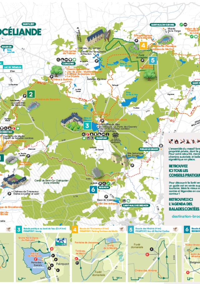 Carte Foret Printemps Ete Db 2025