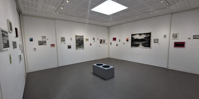 Exposition Aparte Jeremy Le Corvaisier - Lac de Trémelin