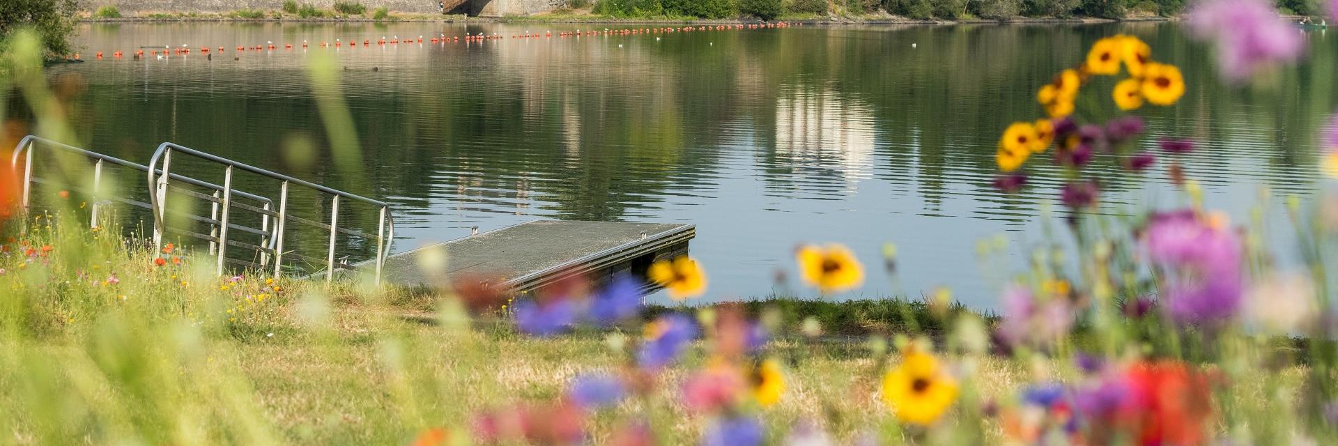 lac au duc ploermel printemps