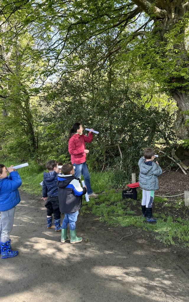 Balade Contee Les Petits Explorateurs Office De Tourisme De Broceliande