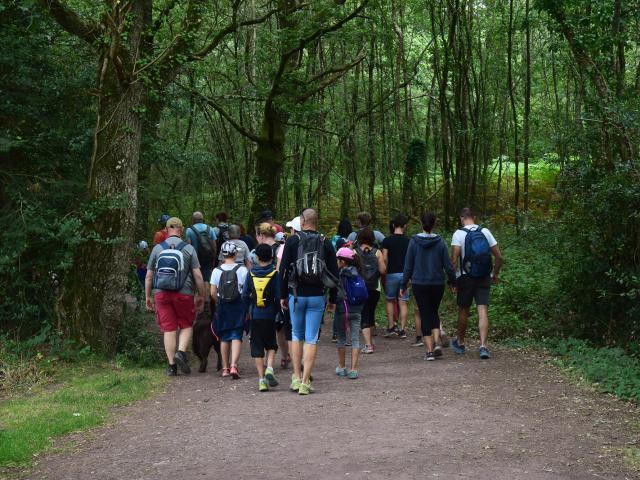 Balade Contee En Foret De Broceliande Office De Tourisme De Broceliande