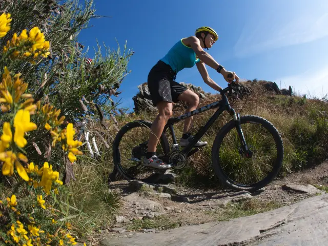 Vtt Crtb