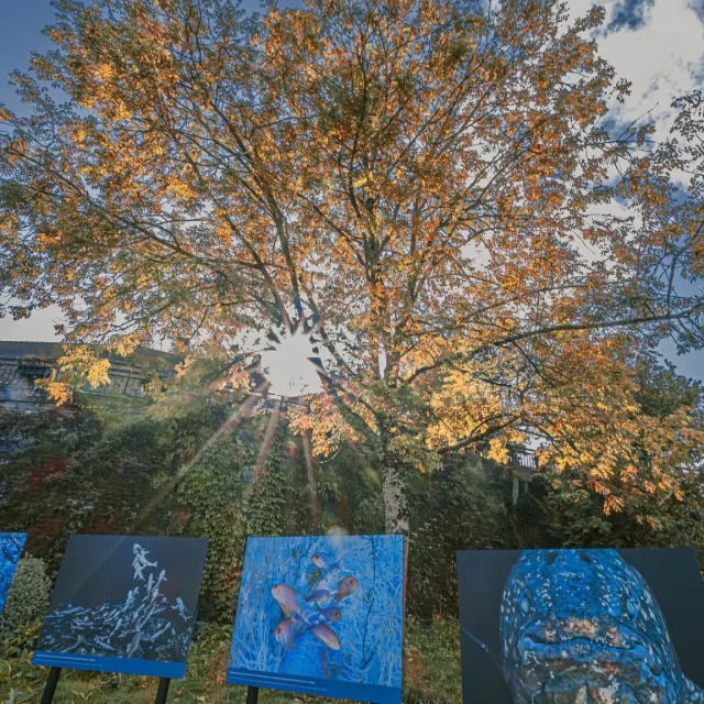 Instagram #lagacilly