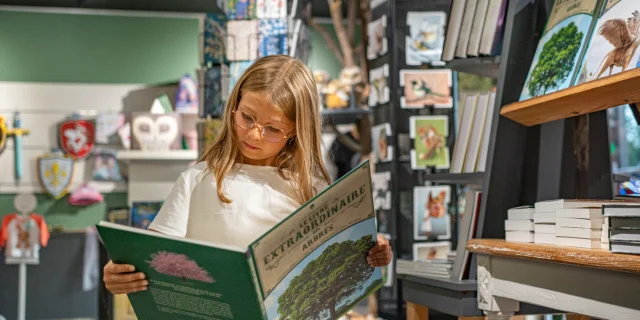 Boutique Broceliande La Porte Des Secrets Noellapennanech Destino Broceliande