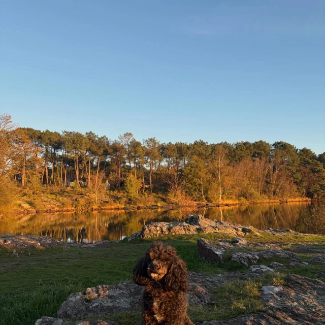 Instagram #lacdetremelin