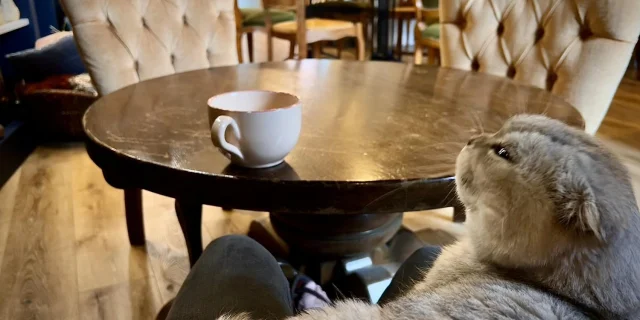 Maison Morgane salon de thé Concoret