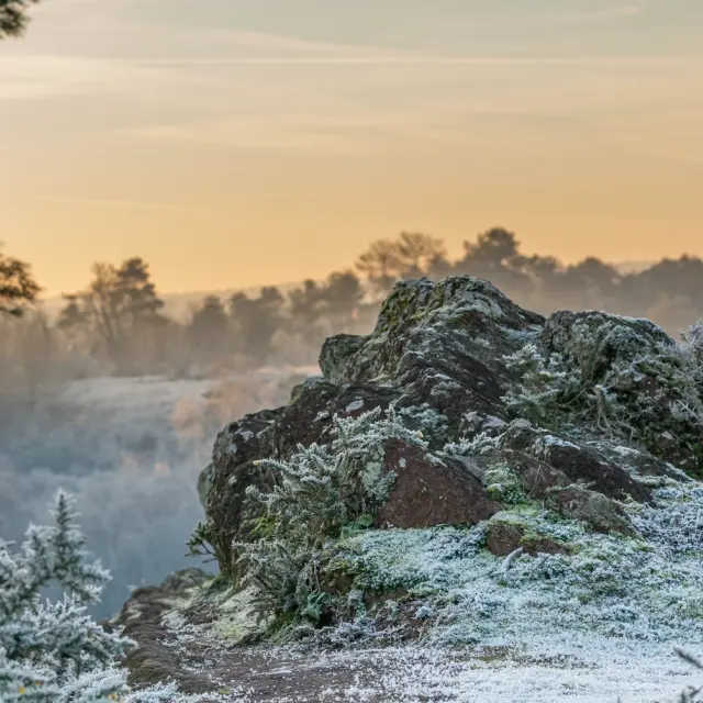 Instagram #destinationbroceliande