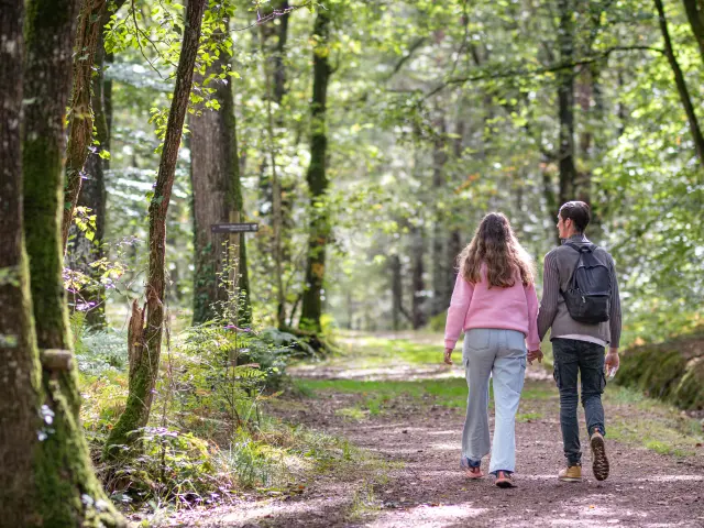 The Des Hindres Loop Noellapennanech Destination Broceliande 2