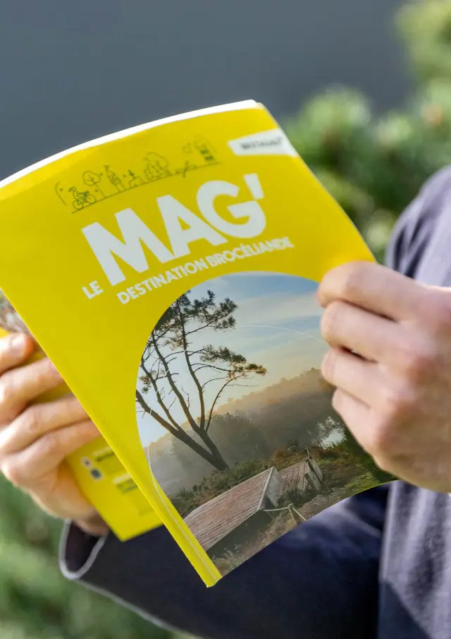 Magazine Touristique Db 2026 Noellapennanech Destination Broceliande3