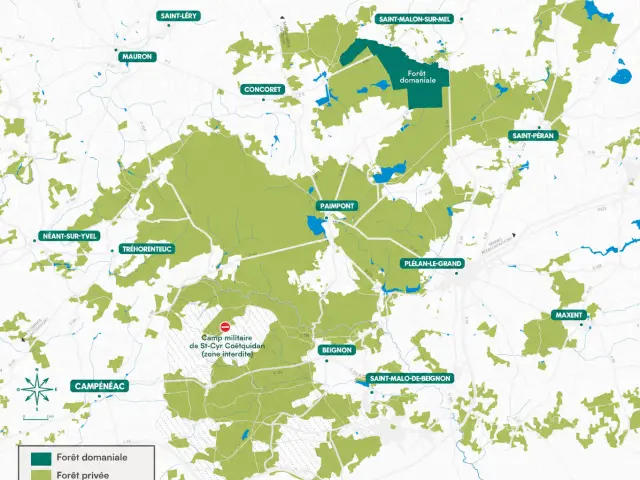 Carto Forests Light Background