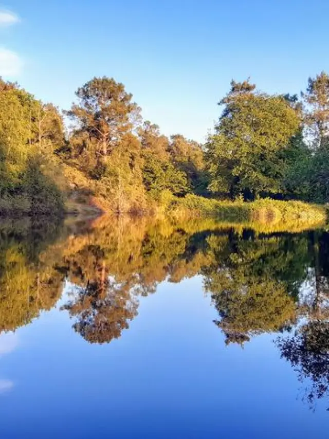 P43 Pascal Cloux Regional Nature Reserve